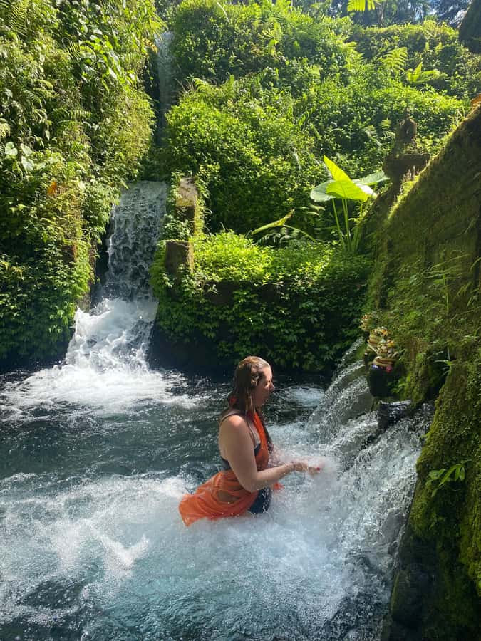Best Watefalls, Monkey Forest, Temple and Rice terrace - The drivers are part of the value