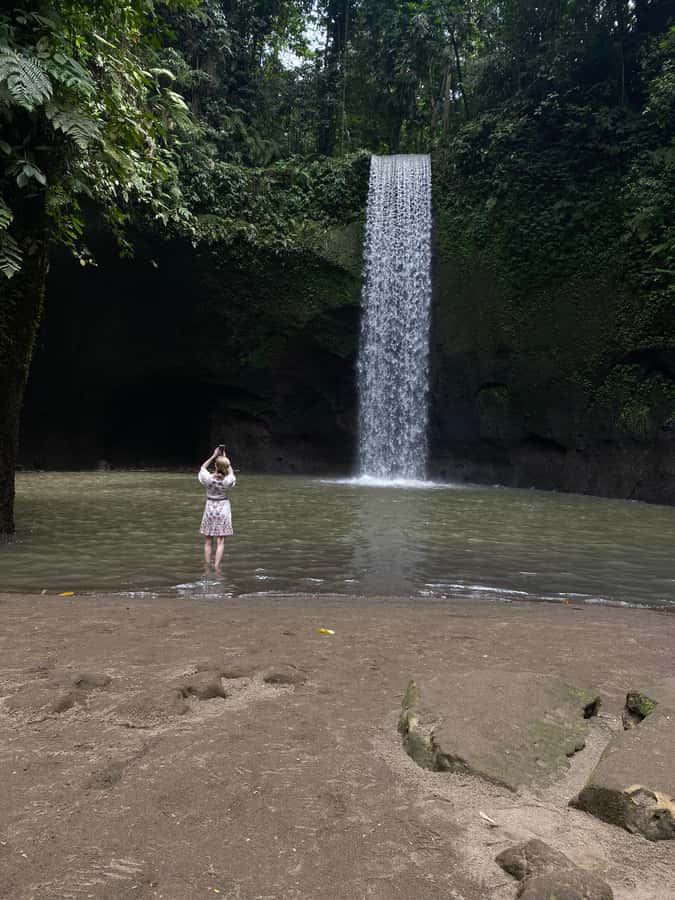 Best Watefalls, Monkey Forest, Temple and Rice terrace - Is $40 good value?