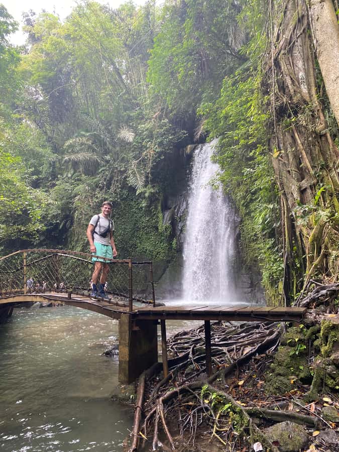 Best Watefalls, Monkey Forest, Temple and Rice terrace - The Sacred Monkey Forest starts the day