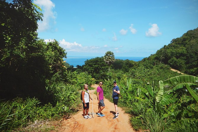 Big Buddha Jungle Trekking and Temple tour with Lunch - A five-hour Phuket outing with a useful mix