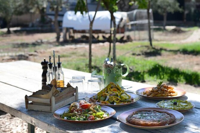 Bio Farm Private Olive Oil Tasting, Farm to Fork Meal & Temple of Poseidon Tour - What the private transport adds