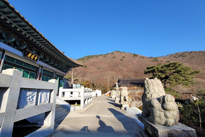 Busan Beomeosa Temple & Hongbeopsa Temple with temple lunch - Why this Busan temple pairing works