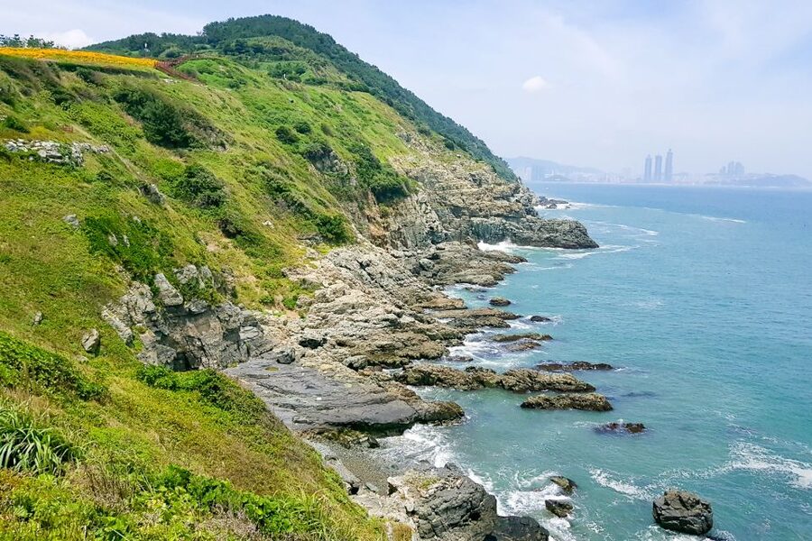 Busan Day Tour with Haedong Yonggungsa Temple & More - Five useful things to know before booking