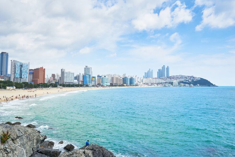Busan Day Tour with Haedong Yonggungsa Temple & More - Why this Busan day tour works well