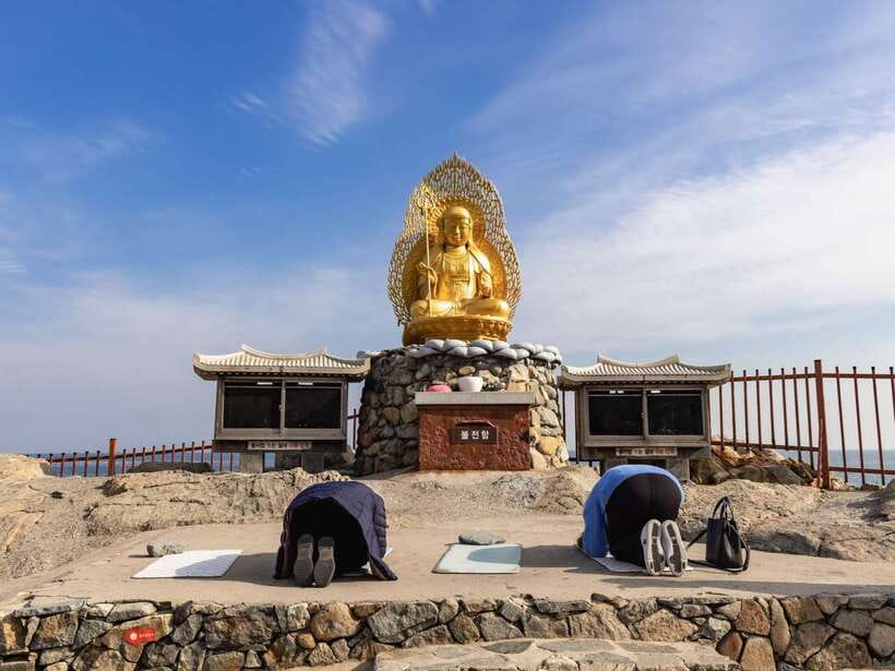 Busan's Best: Sea Temples, Yacht Tour & Sky Capsule Day Tour - Lunch near the coast