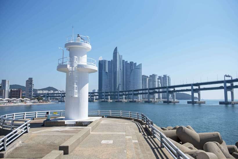Busan's Best: Sea Temples, Yacht Tour & Sky Capsule Day Tour - Guides, languages, and group comfort
