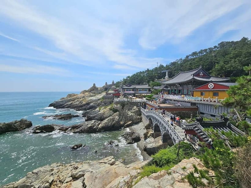 Busan Tour: Gamcheon Village & Yonggungsa Temple + Lunch - Key Points Before You Book