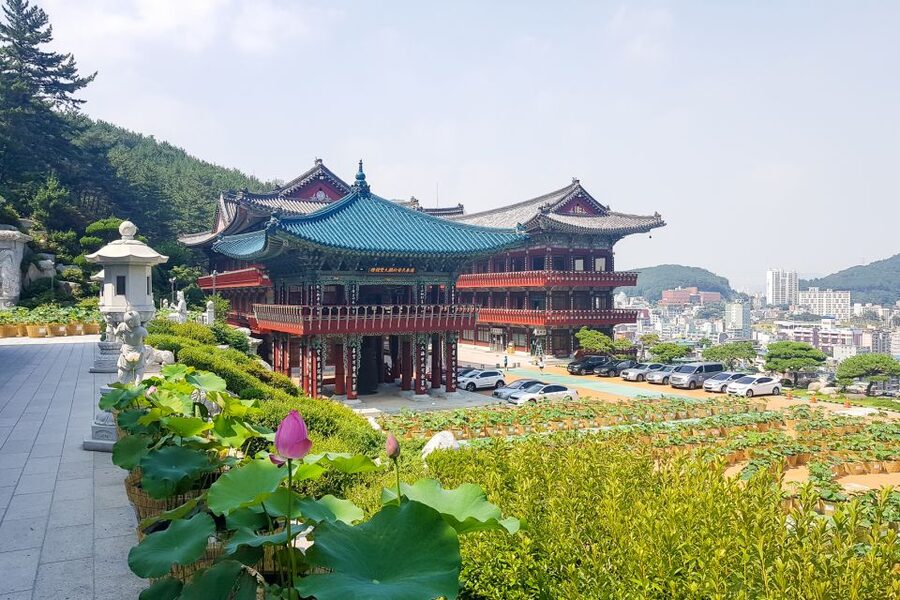 Busan Tour: Gamcheon Village & Yonggungsa Temple + Lunch - Guides, Vehicles, and the Human Side of the Tour