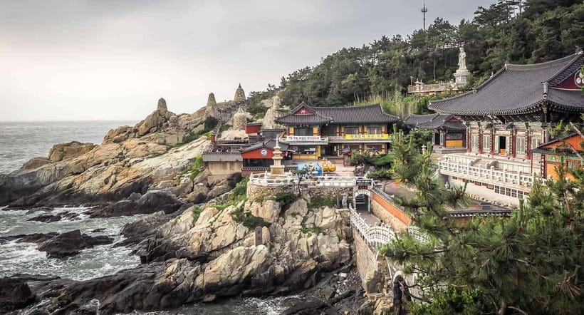 Busan Tour: Gamcheon Village & Yonggungsa Temple + Lunch - Why This Busan Day Works So Well