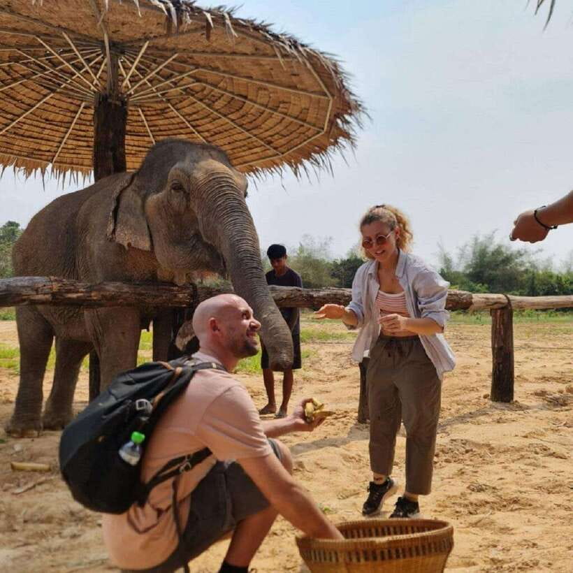 Cambodia Elephant Sanctuary and Banteay Srey Temple Tour - Key points at a glance