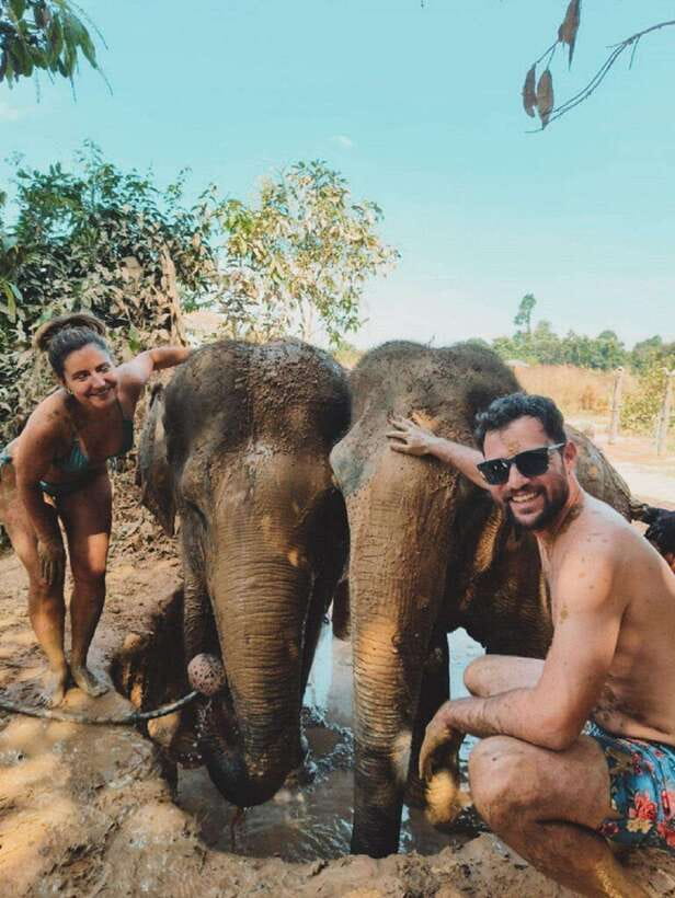 Cambodia Elephant Sanctuary and Banteay Srey Temple Tour - Why this Siem Reap combination works