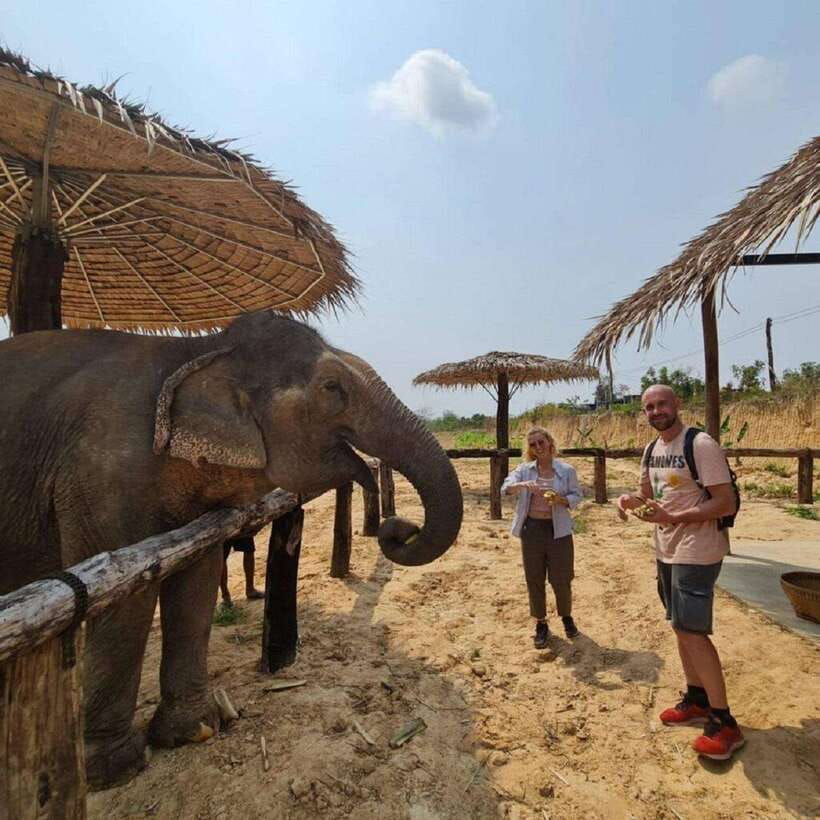 Cambodia Elephant Sanctuary and Banteay Srey Temple Tour - What makes the elephant visit worthwhile