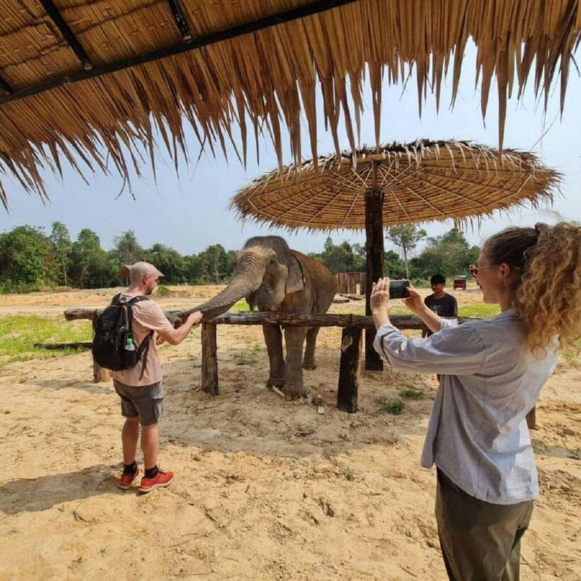 Cambodia Elephant Sanctuary and Banteay Srey Temple Tour - Banteay Srei and its pink sandstone details
