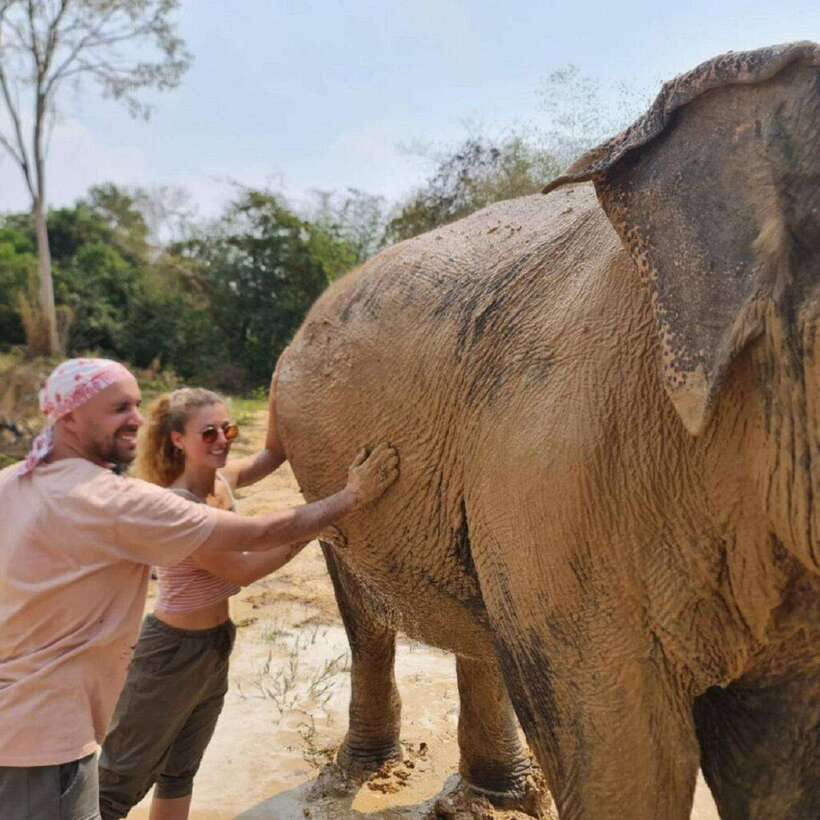 Cambodia Elephant Sanctuary and Banteay Srey Temple Tour - Walking to Kbal Spean and the 1000 Lingas