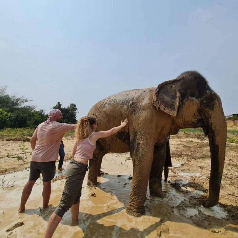 Cambodia Elephant Sanctuary and Banteay Srey Temple Tour - Guide quality and the private-group choice