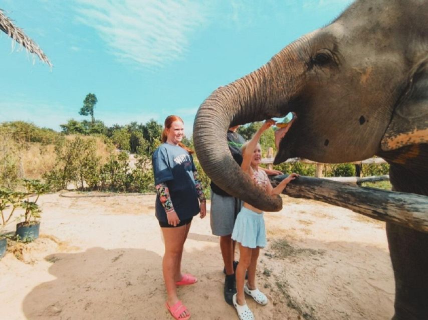 Cambodia Elephant Sanctuary and Banteay Srey Temple Tour - Is $71 a fair price?