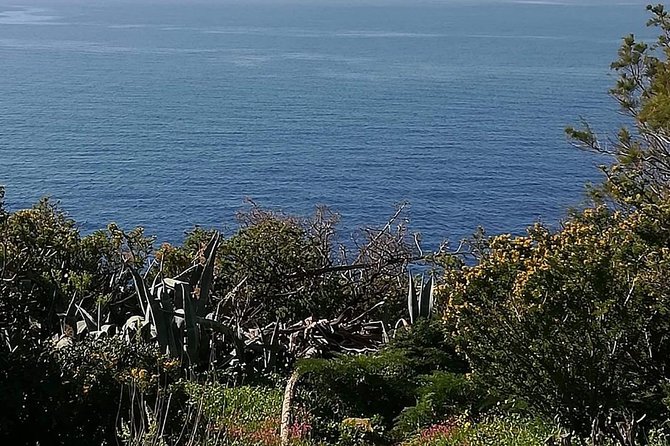 Cape Sounio and Temple of Poseidon Half Day Private Tour - Vouliagmeni Lake adds a quiet final stop
