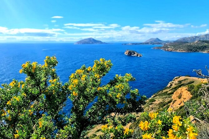 Cape Sounio and Temple Poseidon Tour with Swimming - Choosing Between Five and Six Hours