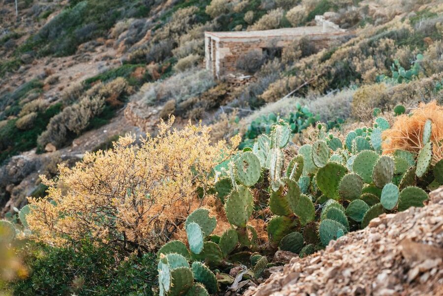 Cape Sounion & Temple of Poseidon: Small Group Tour - FAQ