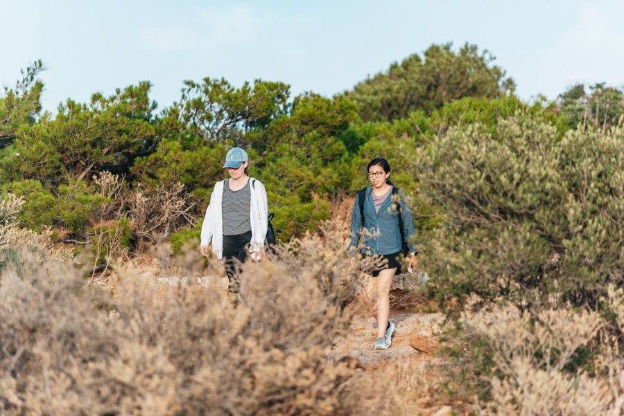 Cape Sounion & Temple of Poseidon: Small Group Tour - Is $41 a good value?