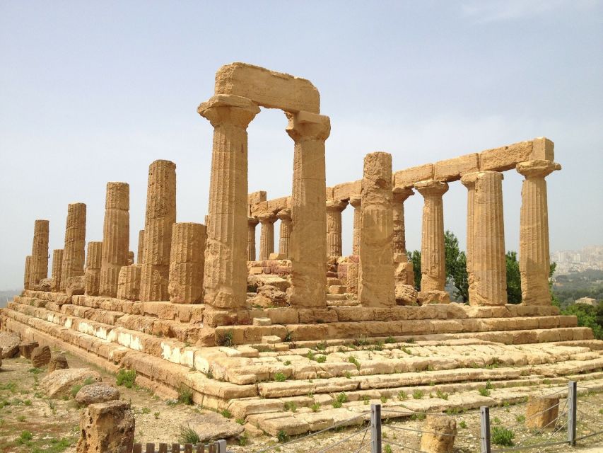 Catania: Valley of the Temples & Piazza Armerina with Snack - The role of the driver and guide