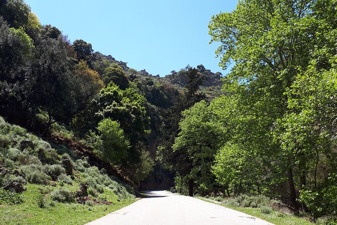 Chania Private Tour: Monastery, Scenic Gorge & Mountain Views - Theriso village and the story of Venizelos