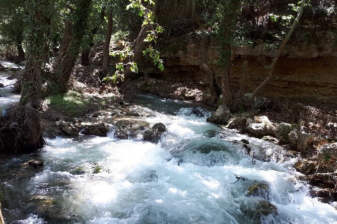 Chania Private Tour: Monastery, Scenic Gorge & Mountain Views - What the private format changes
