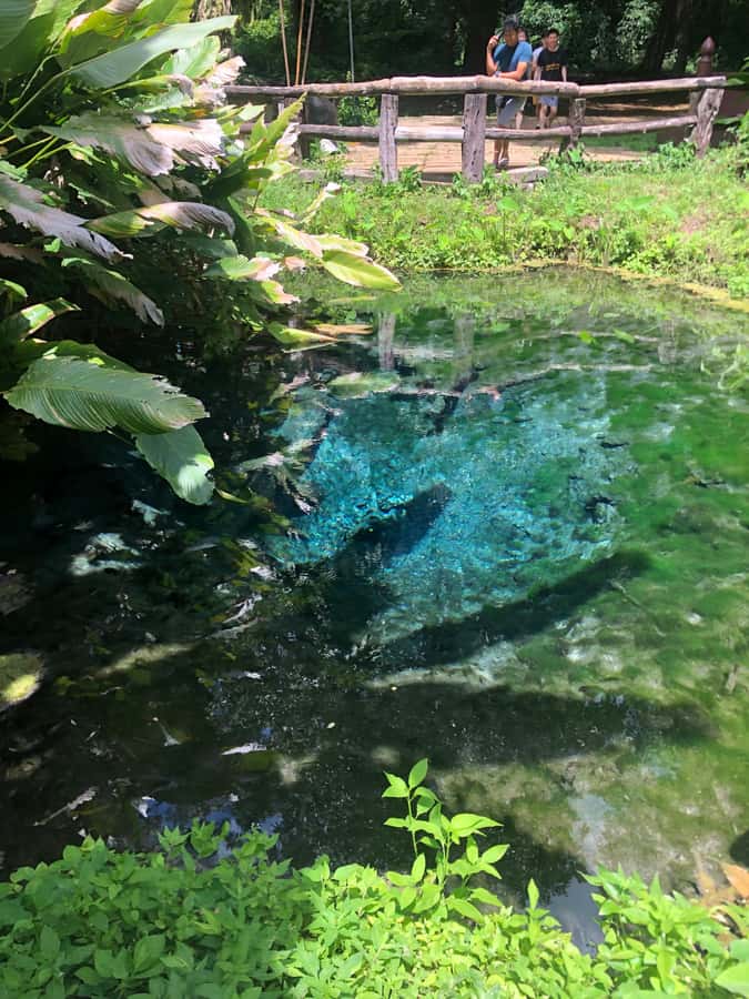Chiang Dao Cave, Sticky Waterfall, Baan Den Temple Private - What the $125 Price Really Covers