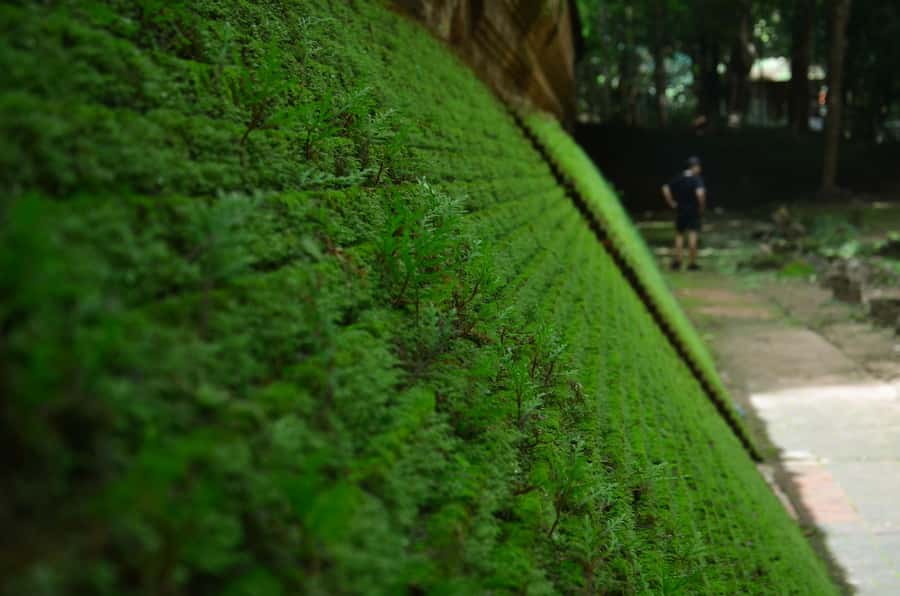 Chiang Mai: 4-hour Doi Suthep, Wat Umong, & Wat Phalat Tour - Wat Pha Lat: A Forest Temple With a Waterfall