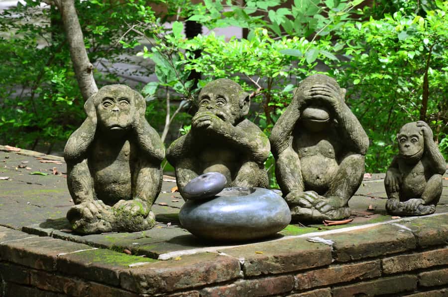 Chiang Mai: 4-hour Doi Suthep, Wat Umong, & Wat Phalat Tour - Private Transport, Flexible Timing, and the Missing Guide