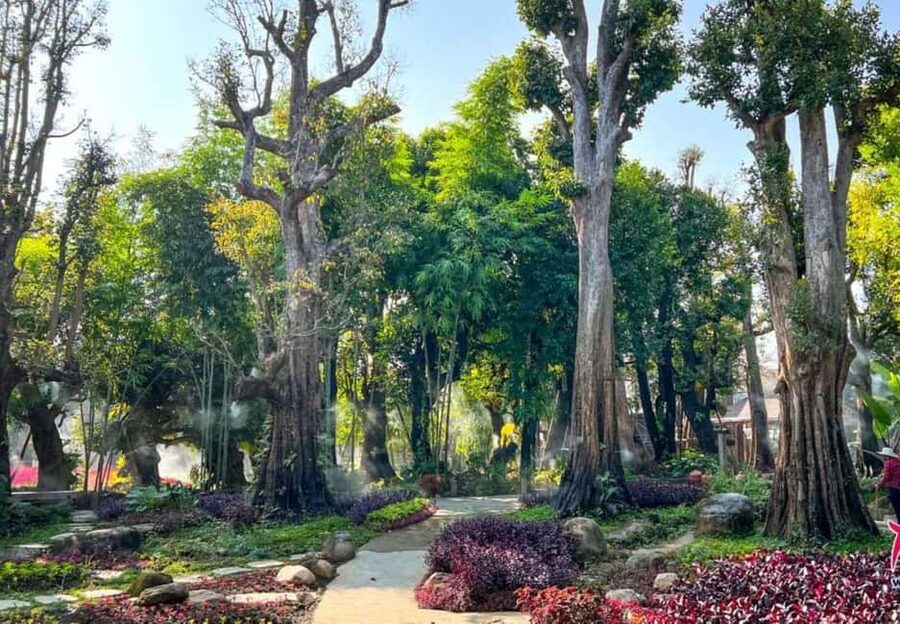 Chiang Mai: Angel Waterfall & Sticky Waterfall & Wat Ban Den - Who will enjoy this day most