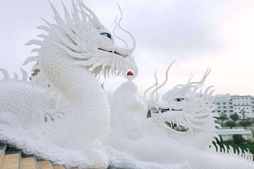 Chiang Mai> Chiang Rai Temples(White/Red/Blue) Day Tour - Wat Rong Khun, Chiang Rai’s White Temple