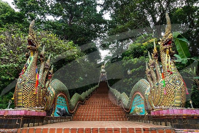Chiang Mai City and Temples Half-Day Tour - Who should book this experience