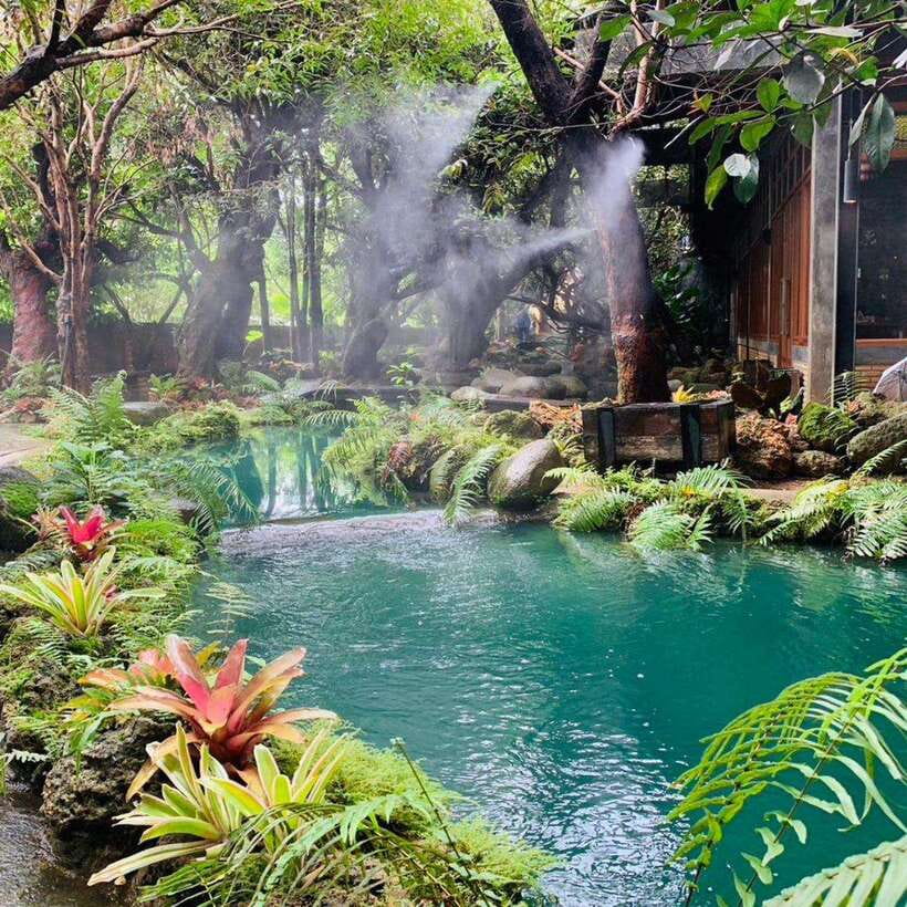 Chiang Mai: Dantewada ,Wat Ban Den Temple & Cafe Elephant - Key points to know before booking