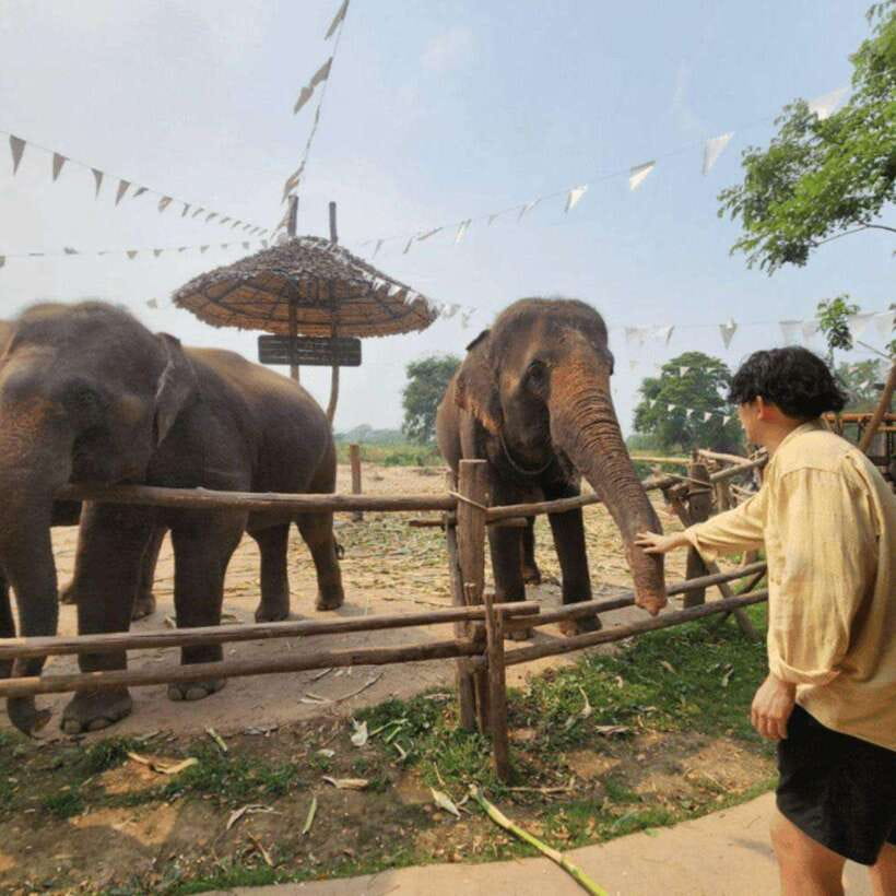 Chiang Mai: Dantewada ,Wat Ban Den Temple & Cafe Elephant - Return to Chiang Mai and total time