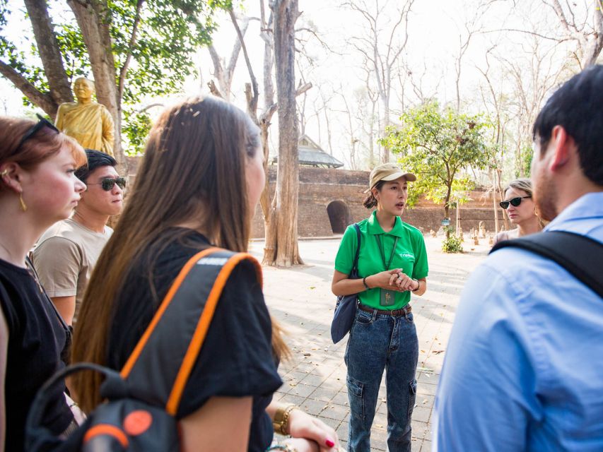 Chiang Mai: Doi Suthep and Wat Umong Enchanting Evening Tour - The drive up Doi Suthep