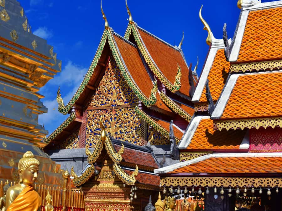 Chiang Mai: Doi Suthep Temple & Sticky Waterfall Trip - Life inside the van