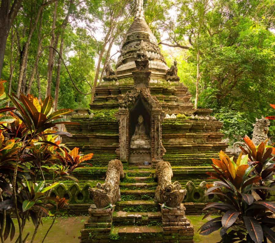 Chiang Mai: Doi Suthep Temple & Sticky Waterfall Trip - Starting with Wat Phra That Doi Suthep