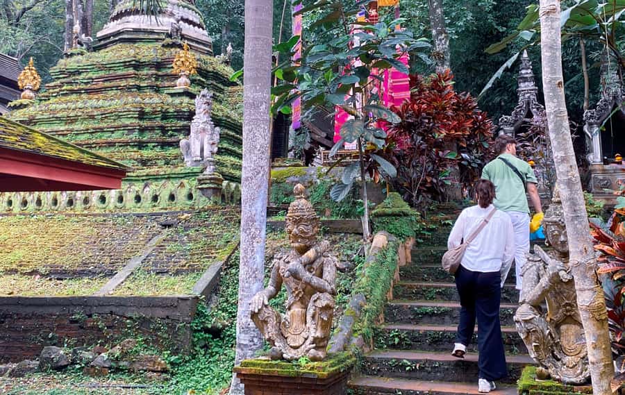 Chiang Mai: Doi Suthep, Wat Pha Lat and Michelin Food Tour - Key points to know before booking