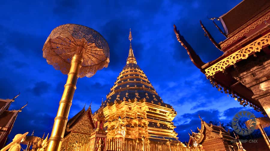 Chiang Mai: Doi Suthep, Wat Pha Lat and Michelin Food Tour - What the guide adds to the four hours