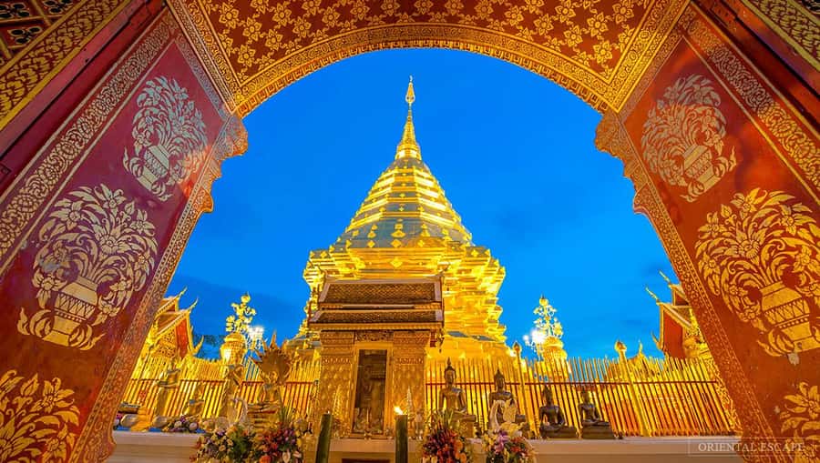 Chiang Mai: Doi Suthep, Wat Pha Lat & Wat Umong Spanish Tour - Key points at a glance