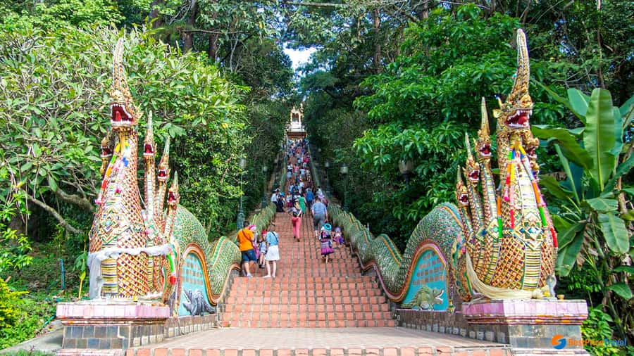Chiang Mai: Doi Suthep, Wat Pha Lat & Wat Umong Spanish Tour - What the $112 price really buys