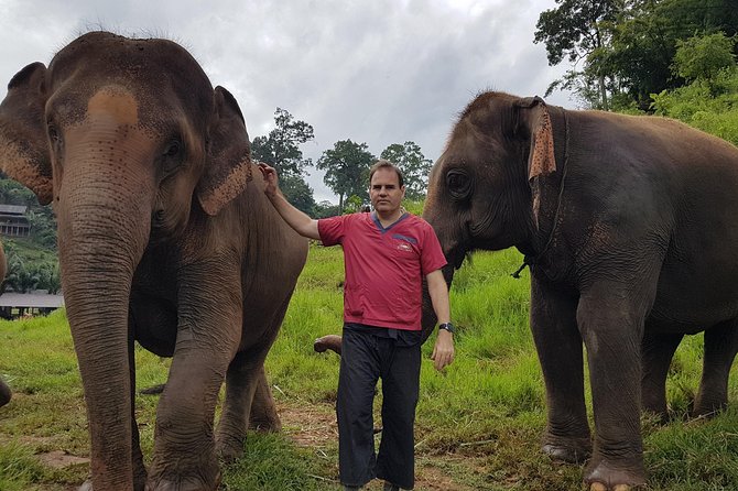 Chiang Mai Elephant Sanctuary and Temples Tour in Spanish - Wat Pha Lat, Chiang Mai’s Quiet Jungle Temple