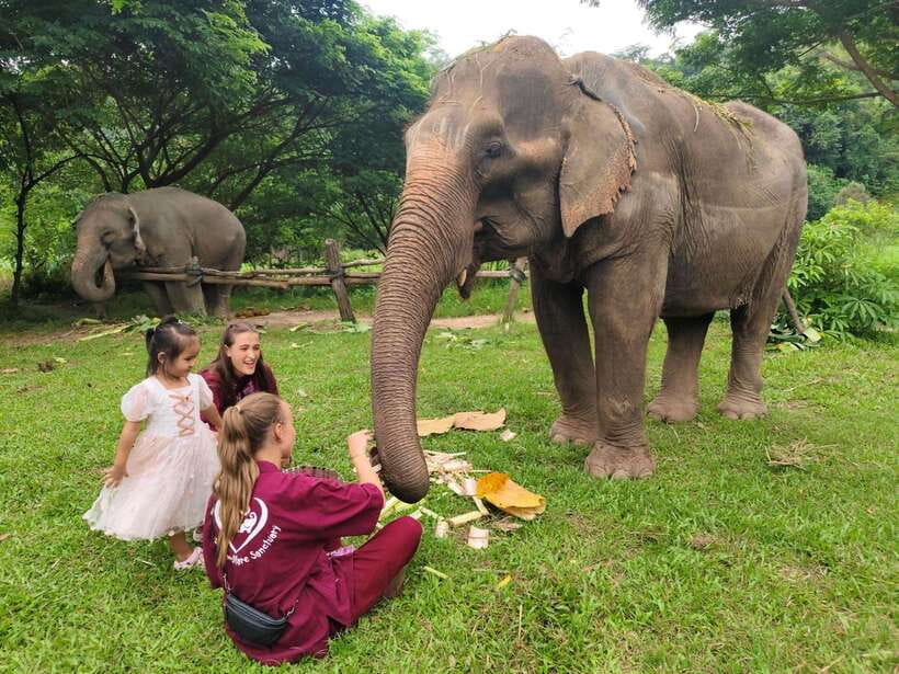 Chiang Mai: Elephants, Sticky Waterfalls, Market and Temple - The day in six quick points