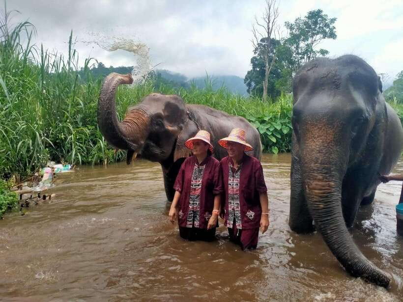 Chiang Mai: Elephants, Sticky Waterfalls, Market and Temple - A long Chiang Mai day with a useful mix