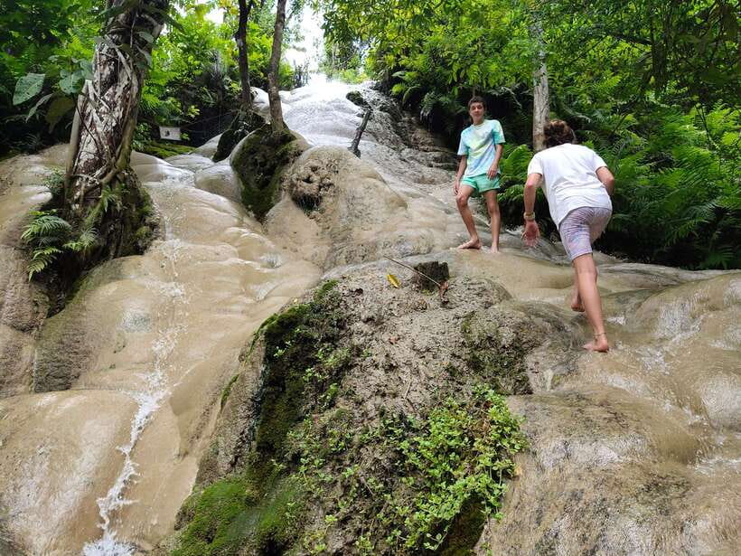 Chiang Mai: Elephants, Sticky Waterfalls, Market and Temple - What the guides add to the experience