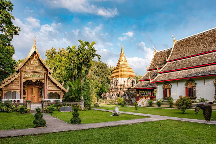 Chiang Mai Light: Tuk Tuk Night Tour with Temples & Markets - Chiang Mai Gate Market and the flower stalls