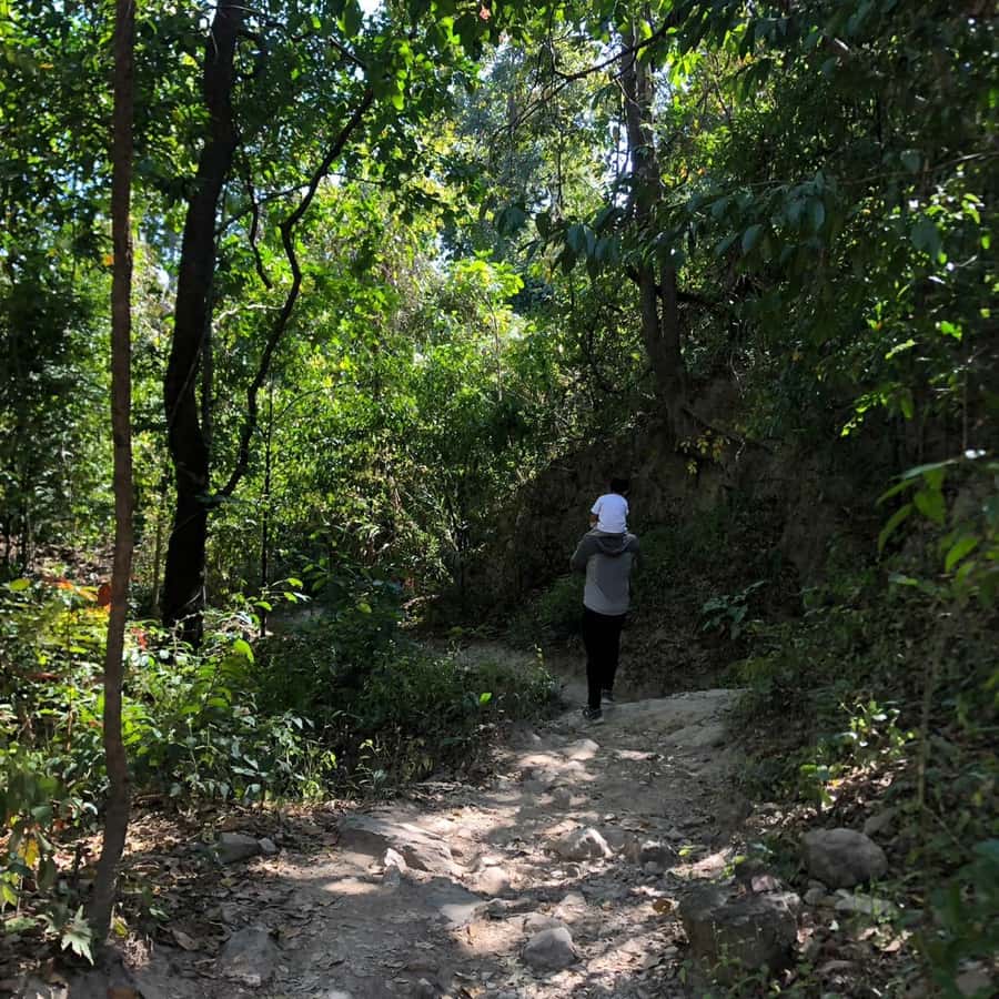 Chiang Mai Monk's Trail Wat Pha Lat & Visit Wat Doi Suthep - Key points to know before booking
