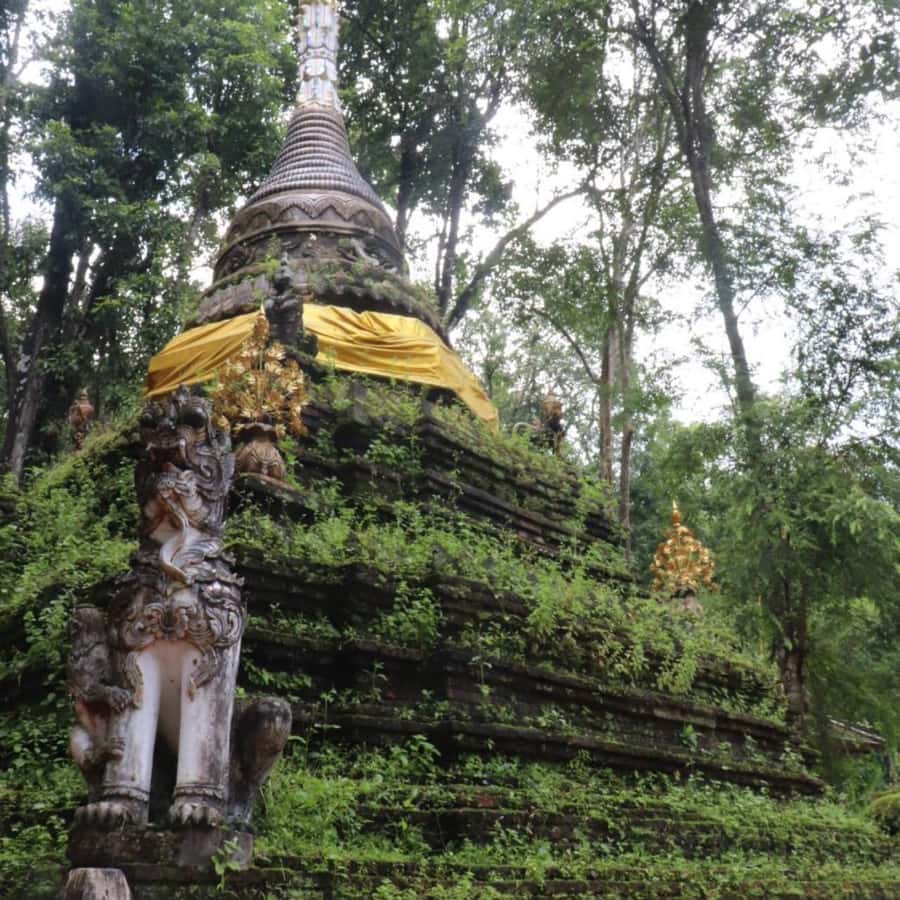 Chiang Mai Monk's Trail Wat Pha Lat & Visit Wat Doi Suthep - What the $73 price really covers