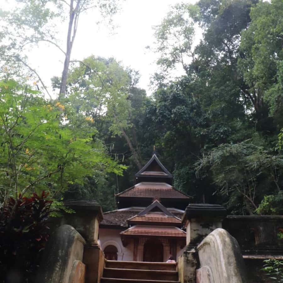 Chiang Mai Monk's Trail Wat Pha Lat & Visit Wat Doi Suthep - Who should book this five-hour outing?